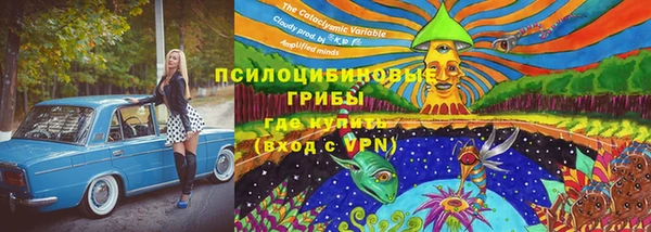 ПСИЛОЦИБИНОВЫЕ ГРИБЫ Алзамай