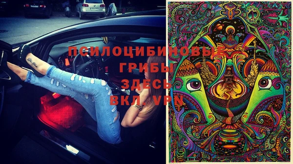 спайс Алексин