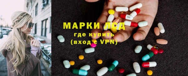 ПСИЛОЦИБИНОВЫЕ ГРИБЫ Алзамай