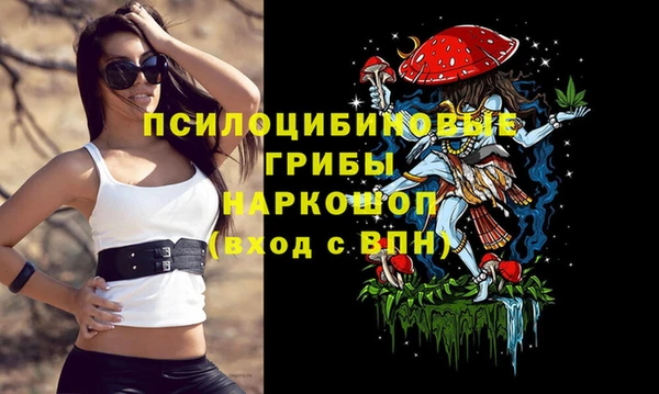 гашик Алексеевка