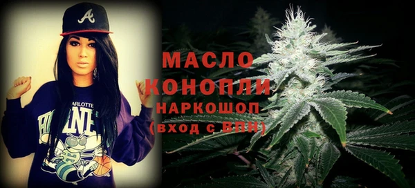 гашик Алексеевка