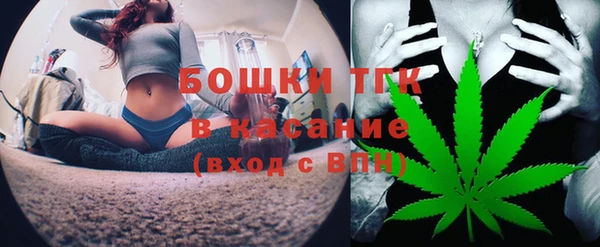 спайс Алексин
