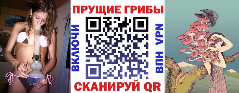 kraken онион  Пролетарск  Псилоцибиновые грибы Magic Shrooms 